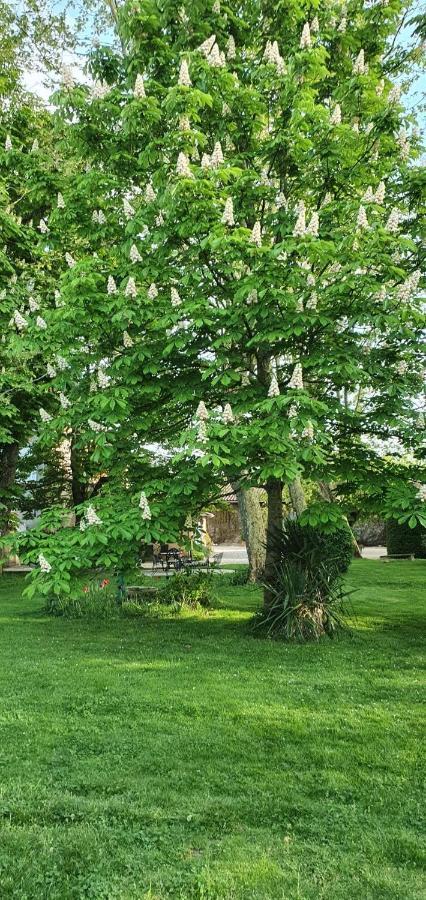B&B Le Domaine Des Marcoujans Saint-Elix-le-Chateau Exterior foto